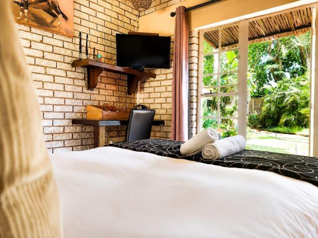 Lion's Guesthouse Gallery