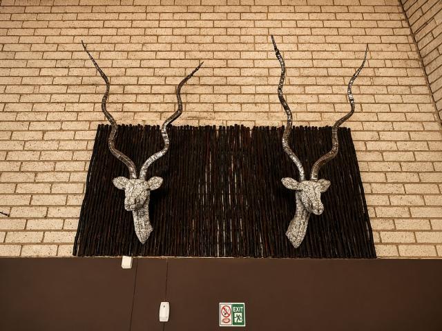 Lion's Guesthouse Gallery