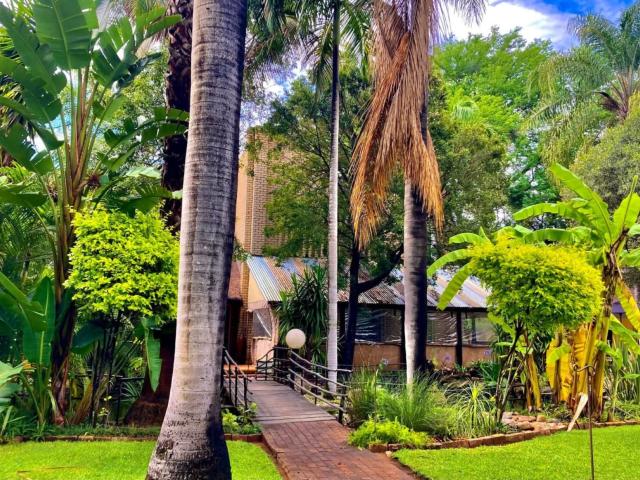 Lion's Guesthouse Gallery