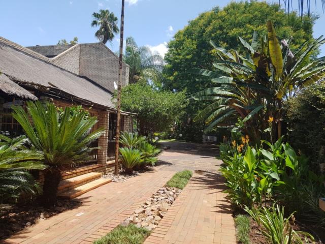 Lion's Guesthouse Gallery