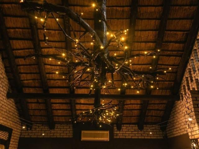 Lion's Guesthouse Gallery