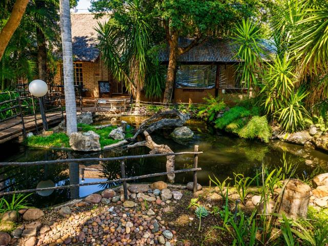 Lion's Guesthouse Gallery