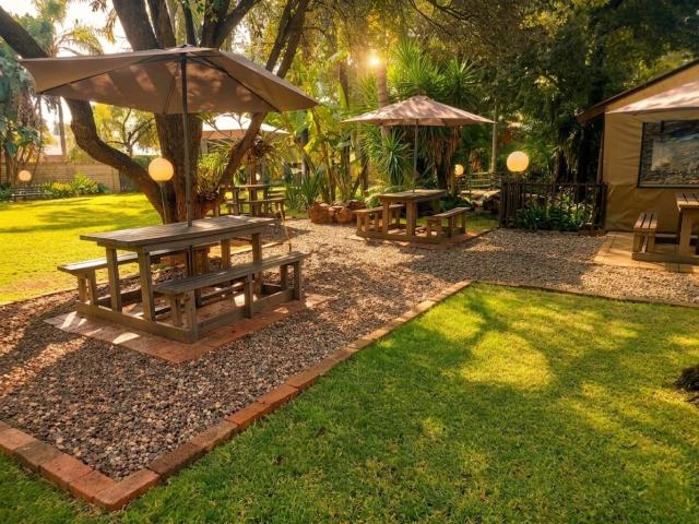 Lion's Guesthouse Gallery