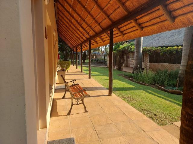Lion's Guesthouse Gallery