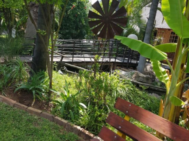 Lion's Guesthouse Gallery